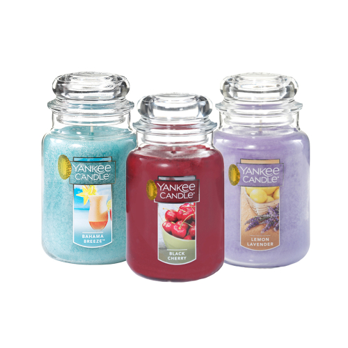 양키캔들 자캔들(대)