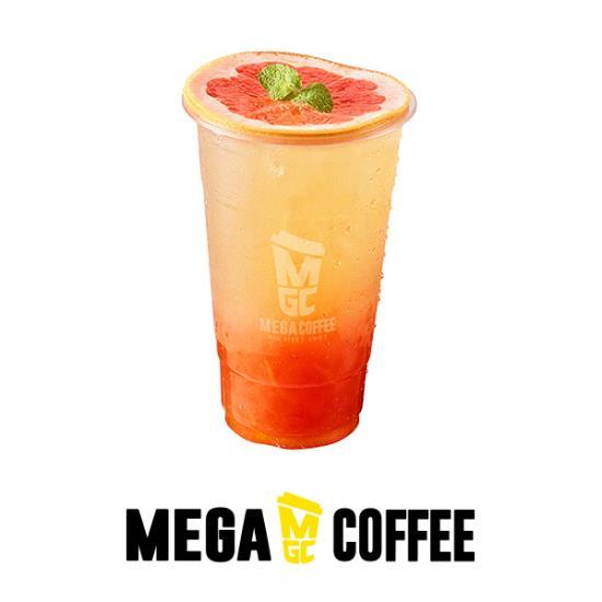 메가MGC커피 (ICE)자몽차