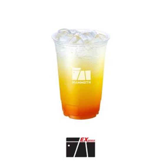 매머드익스프레스 한라봉 에이드 M