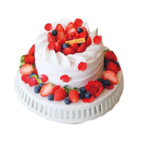 후레즈티아라 M