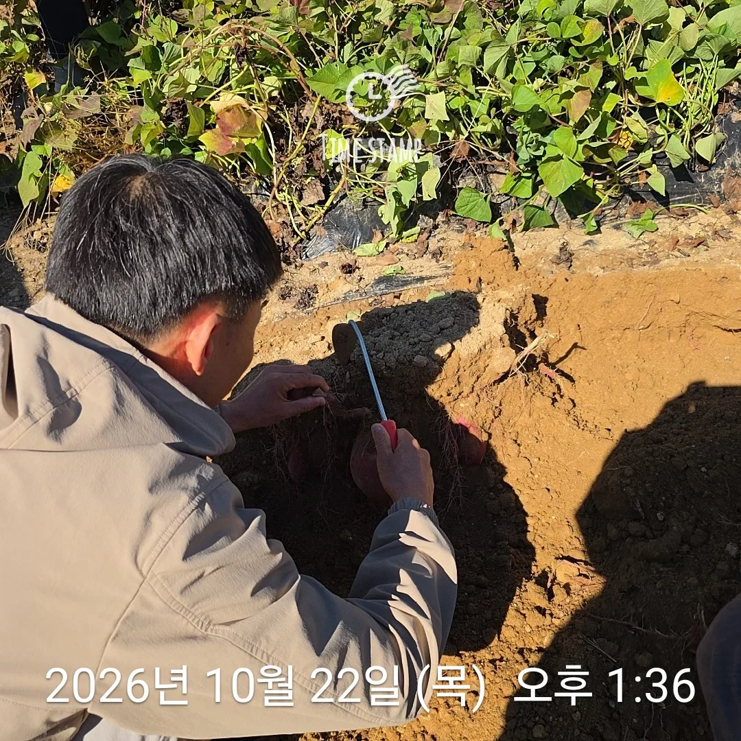 KakaoTalk_20261028_112305925_01.jpg