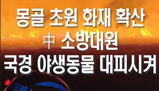 몽골 초원 화재 확산...中 소방대원, 야생동물 안전지대로 유도