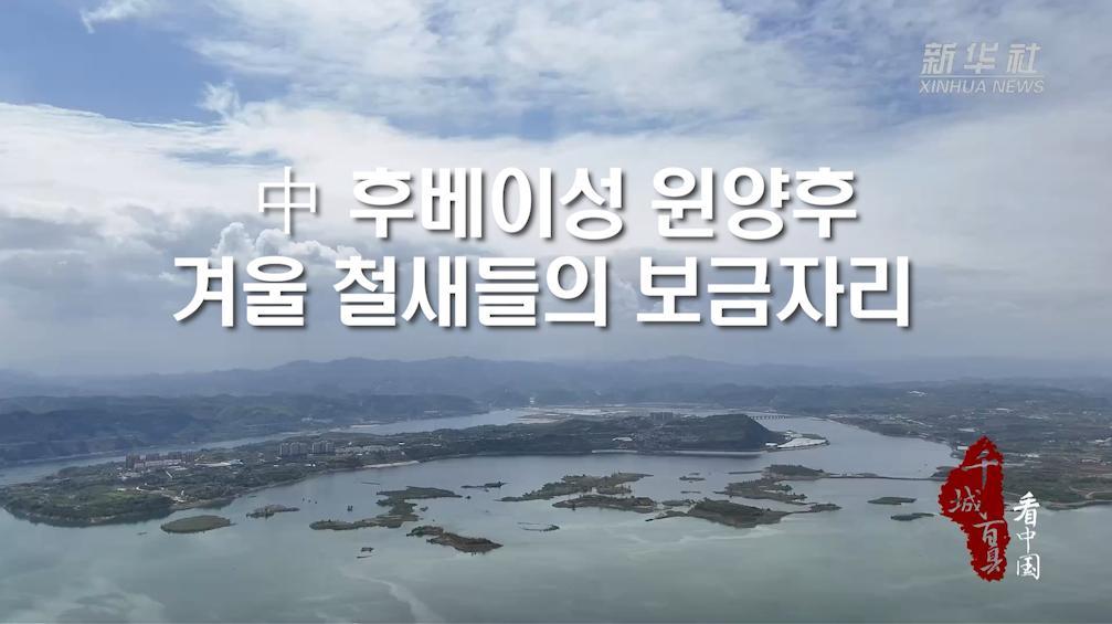 中 후베이성 윈양후, 겨울 철새들의 보금자리