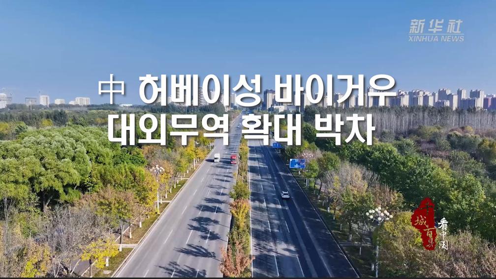 中 허베이성 바이거우, 대외무역 확대 박차