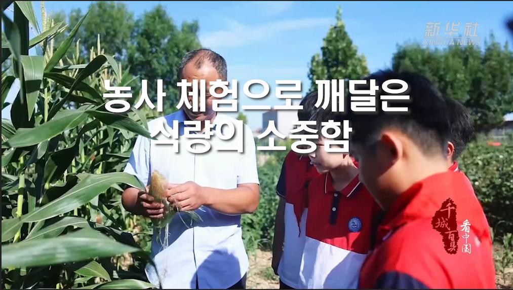 농사 체험으로 깨달은 식량의 소중함
