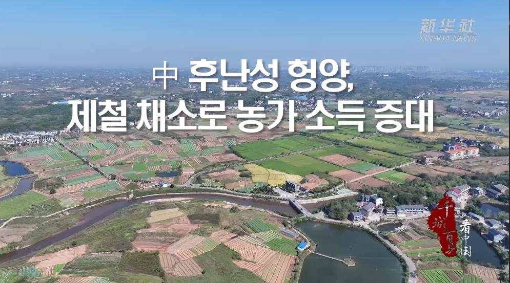中 후난성 헝양, 제철 채소로 농가 소득 증대