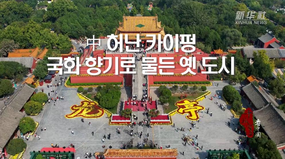 中 허난 카이펑, 국화 향기로 물든 옛 도시