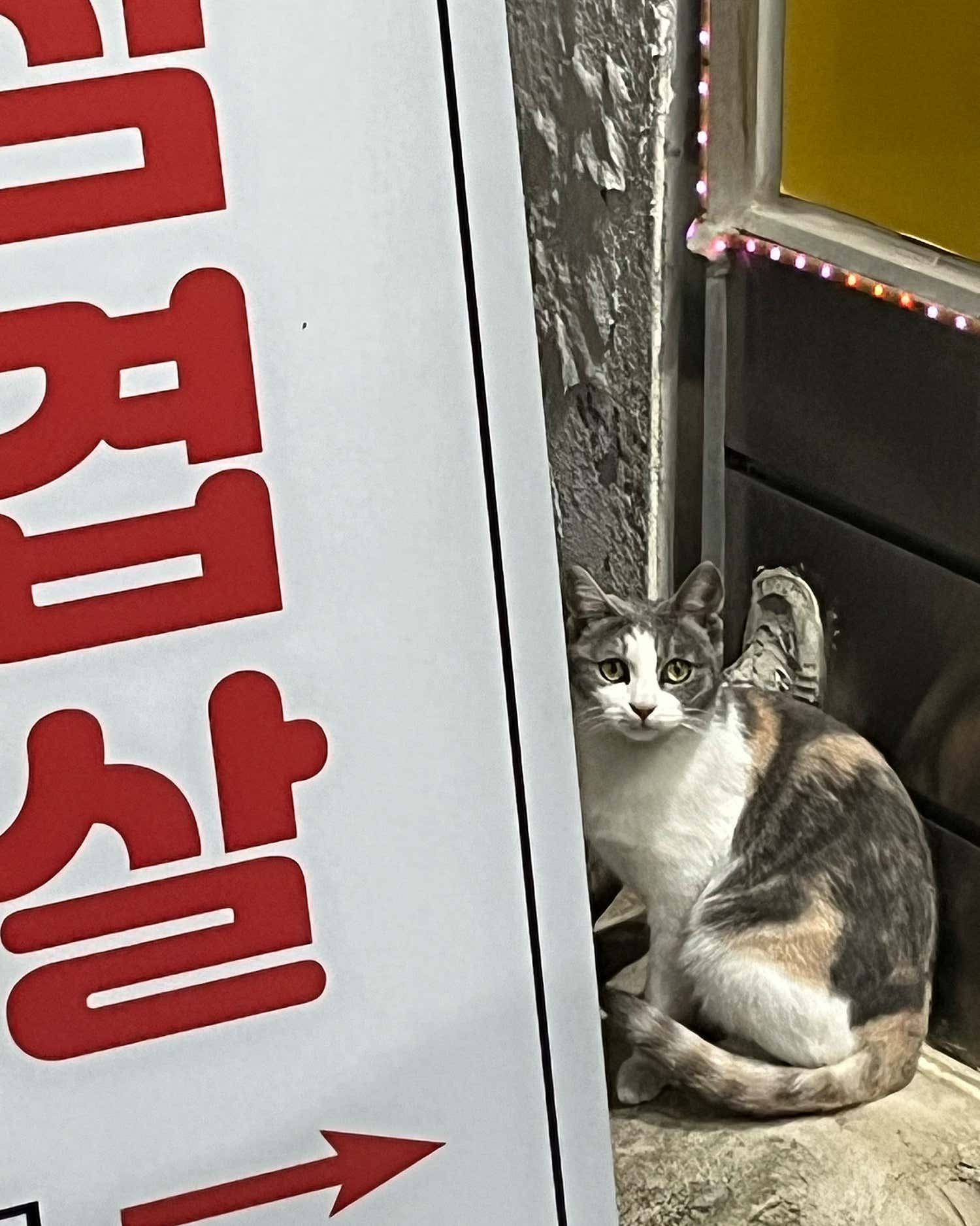 그래피