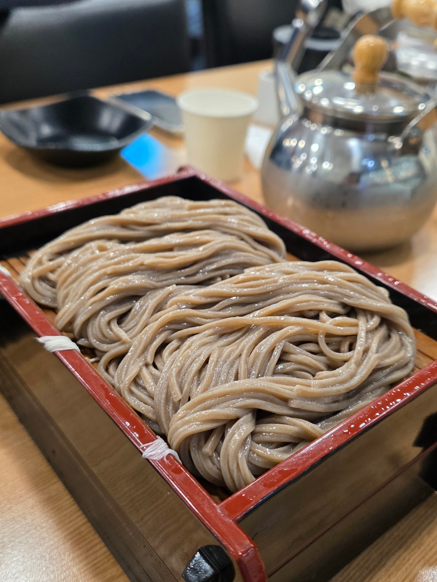 광화문맛집 '광화문미진' 메밀은 물론 김치전도 맛있다