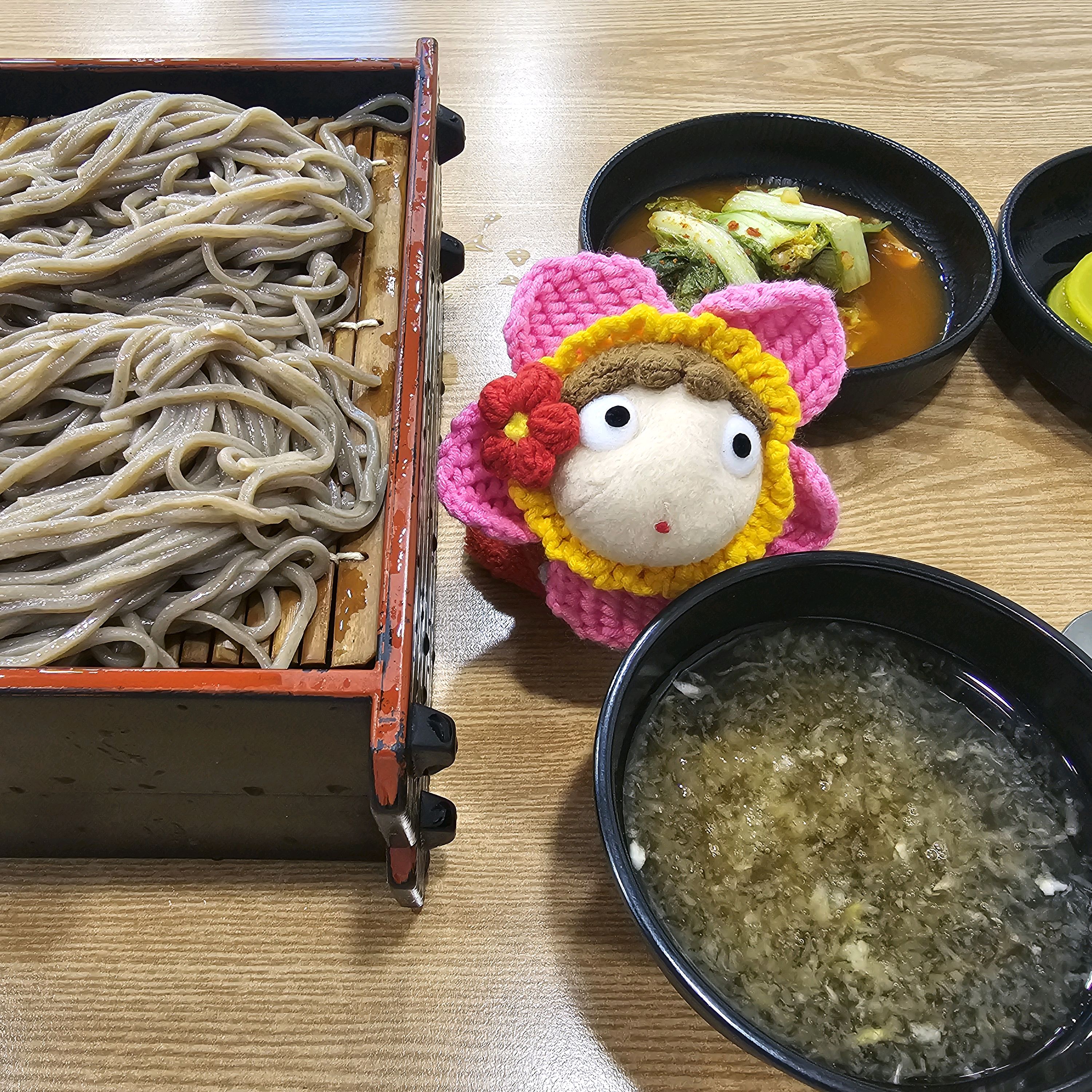 바라기8246