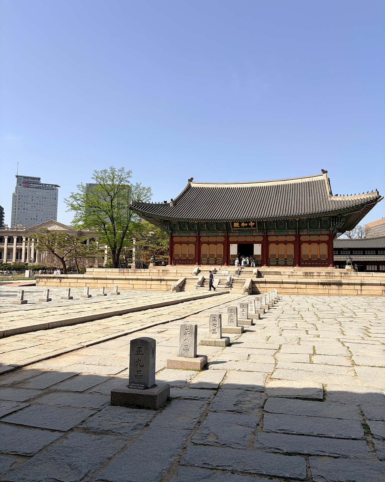 냥냥박사냥