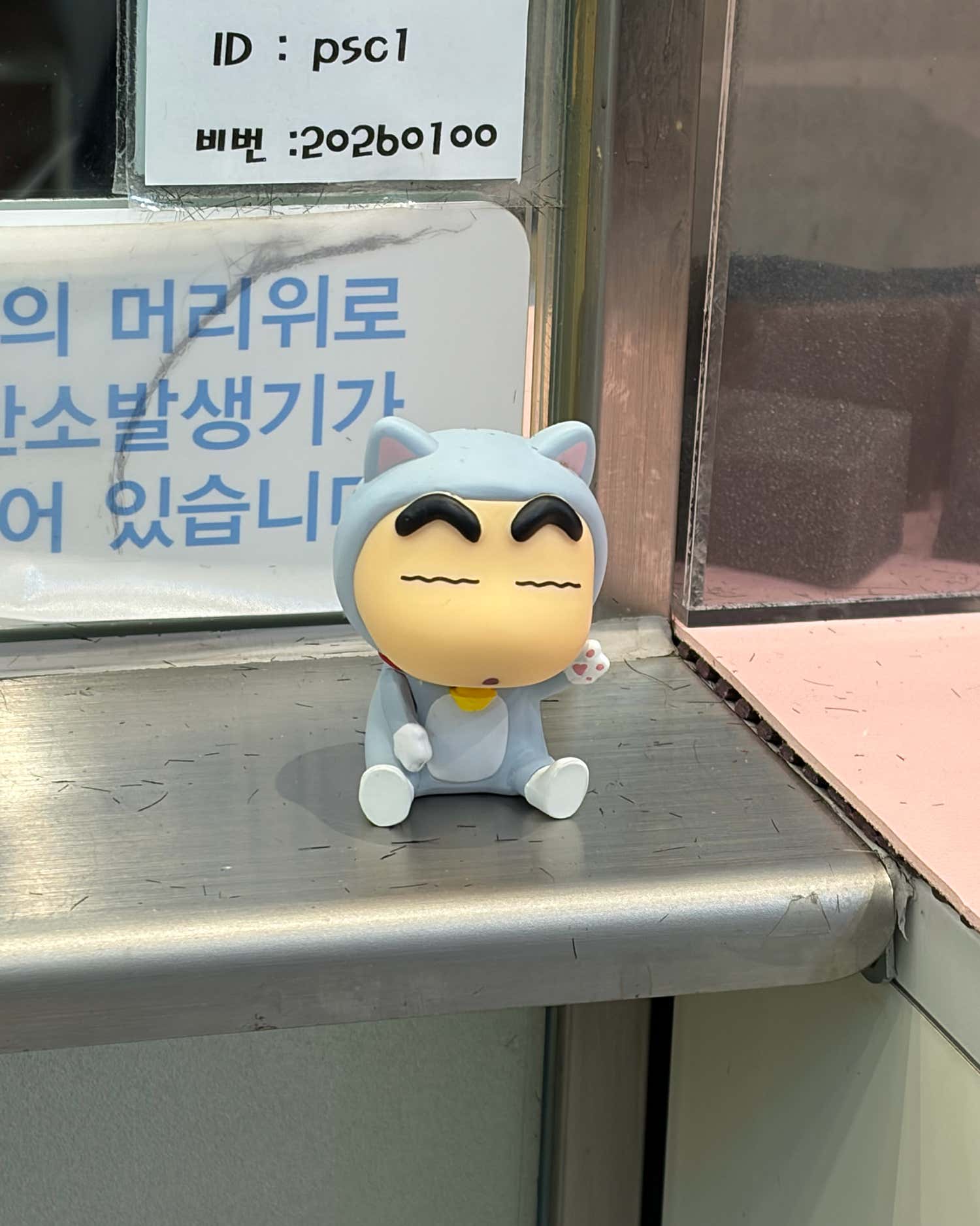 당나귀5420