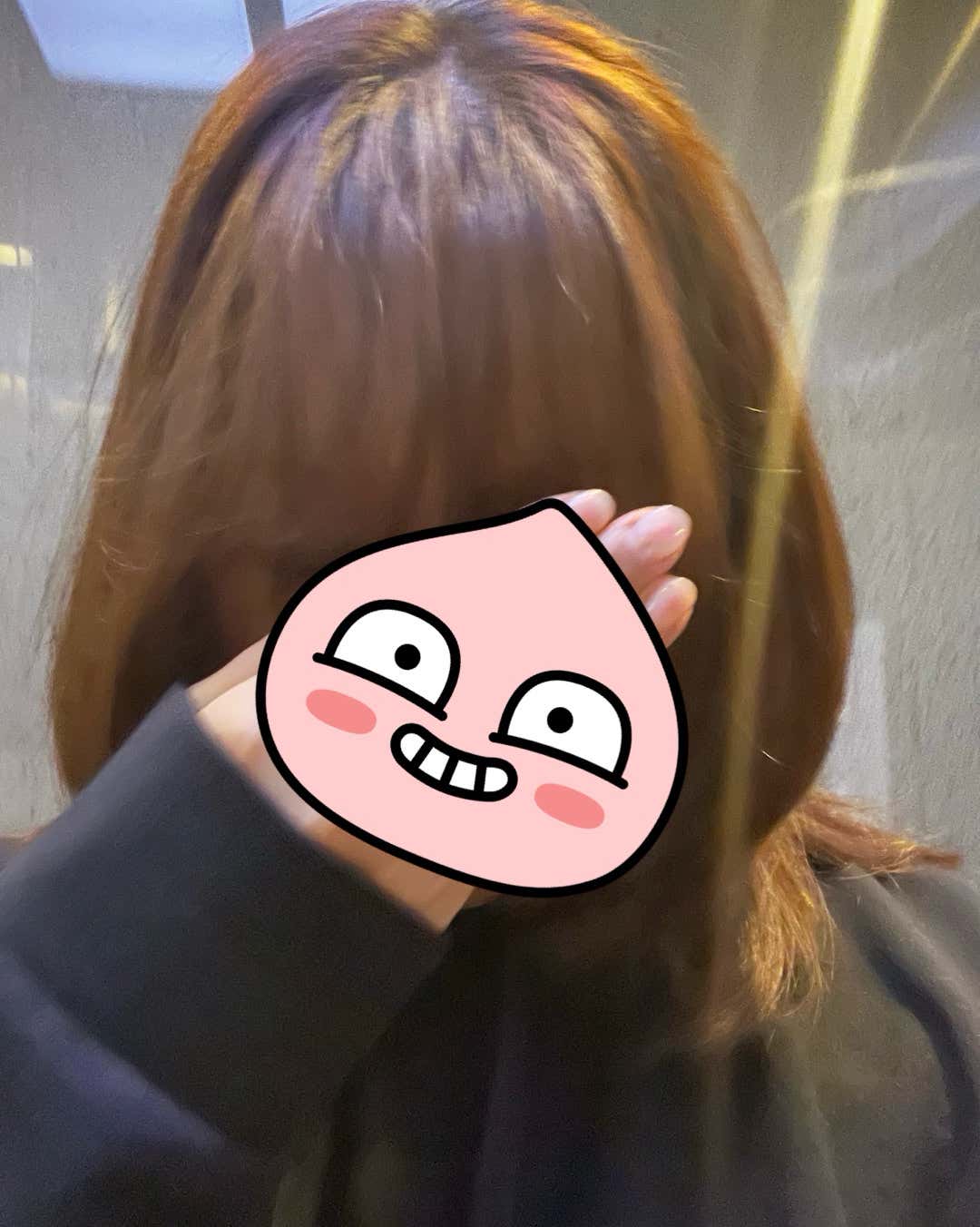 케케케헤