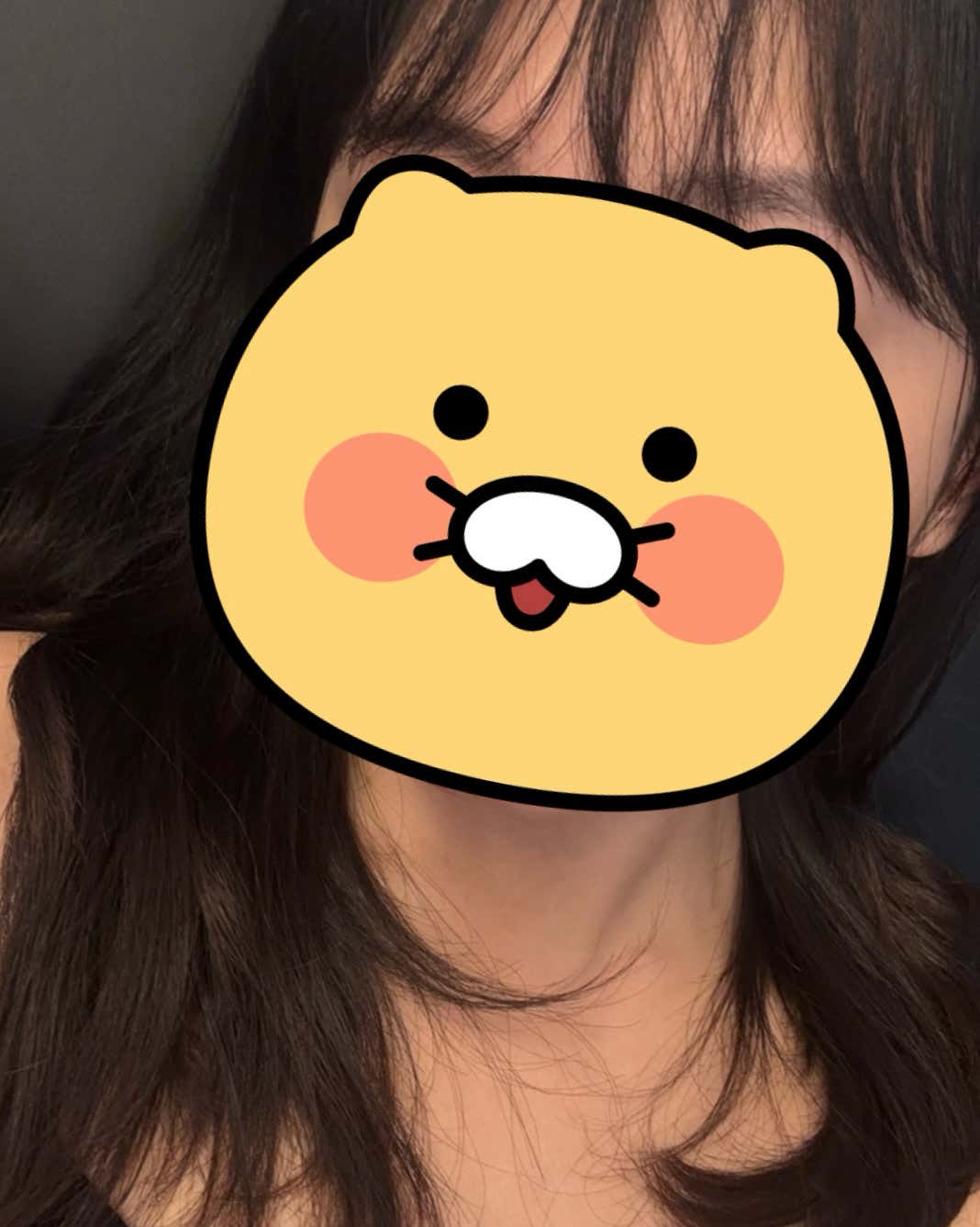 고양이영희