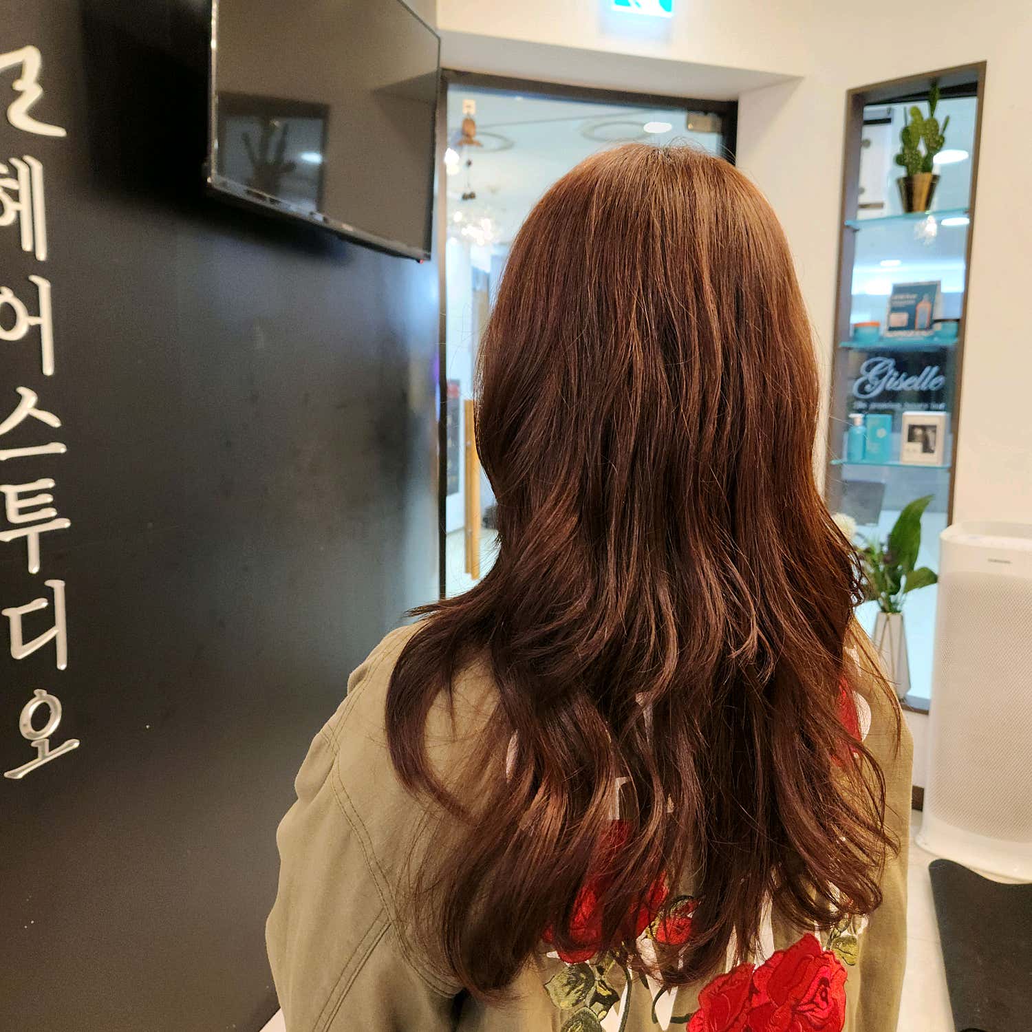 비 그리고 태양