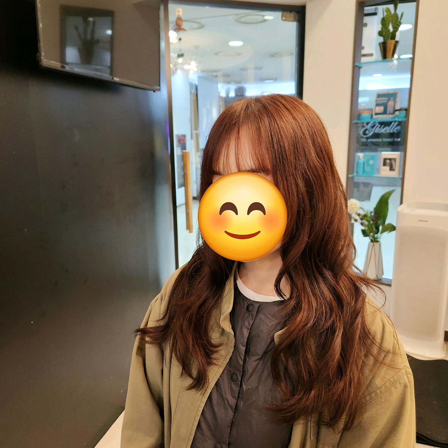 비 그리고 태양
