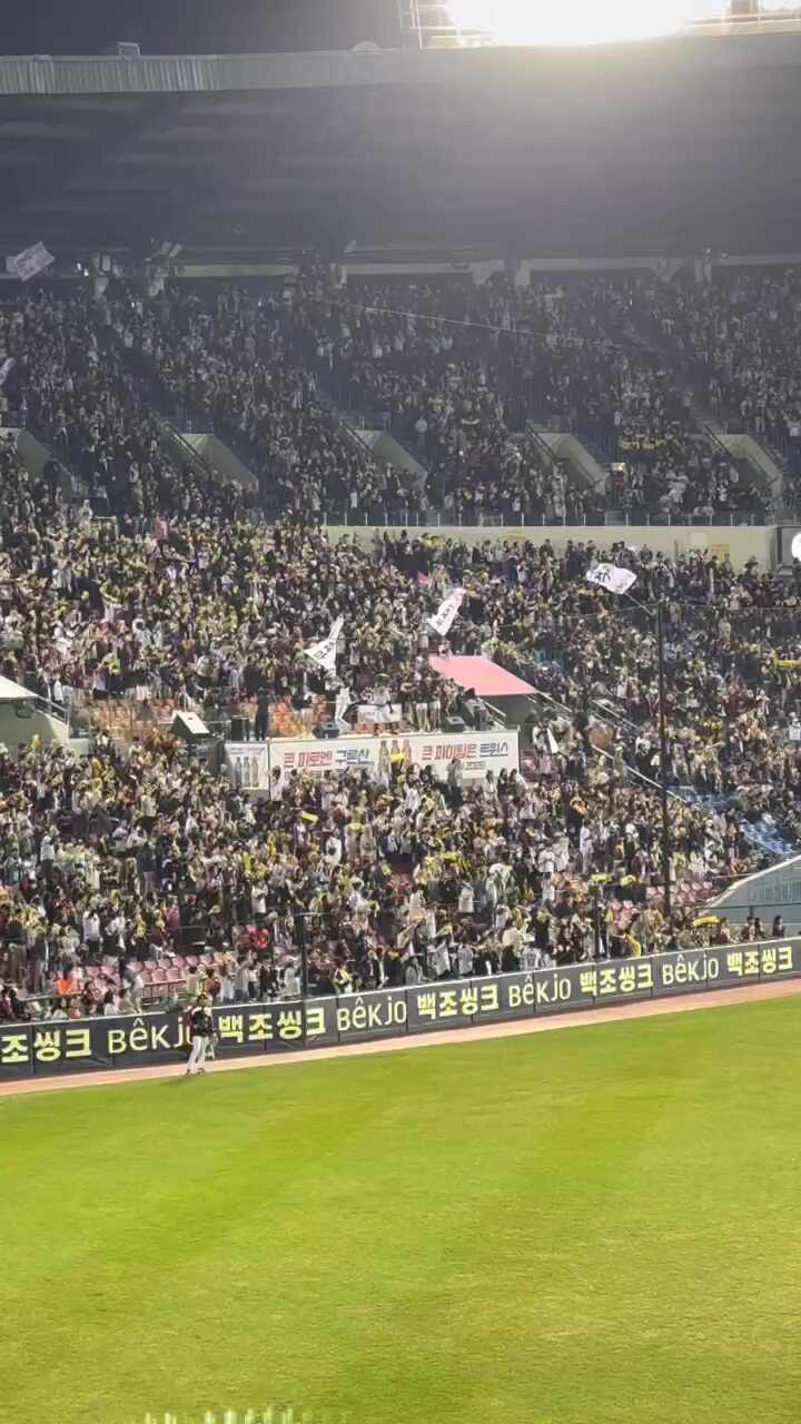 산책하는백구