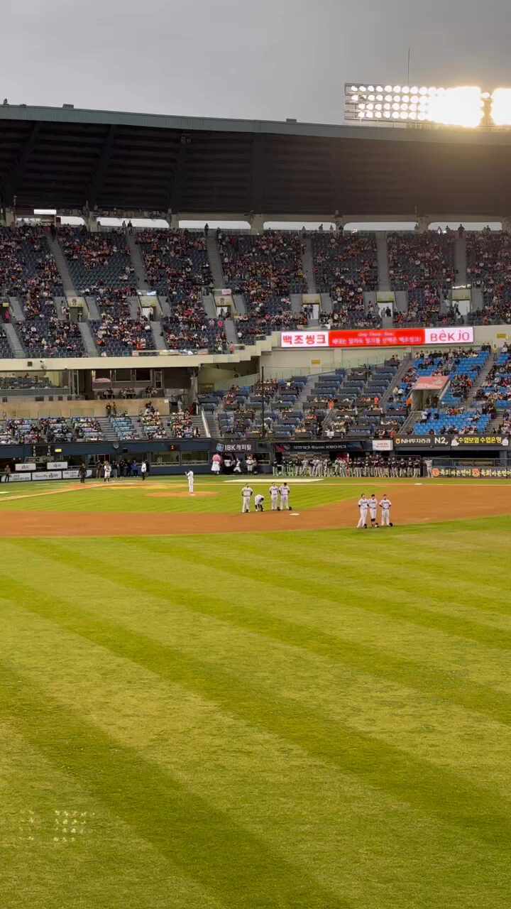 산책하는백구