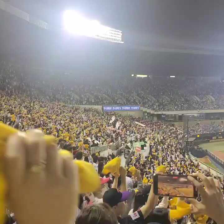 luj****