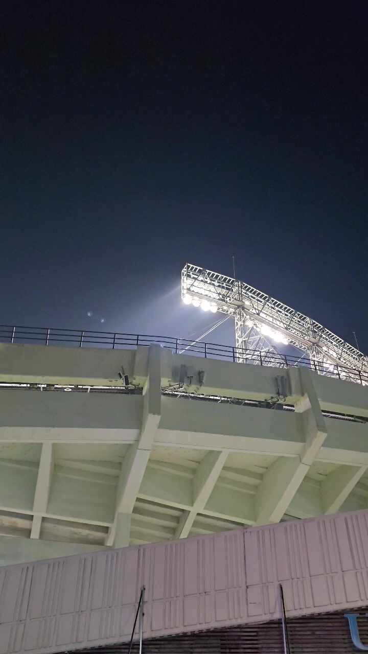 진로코치