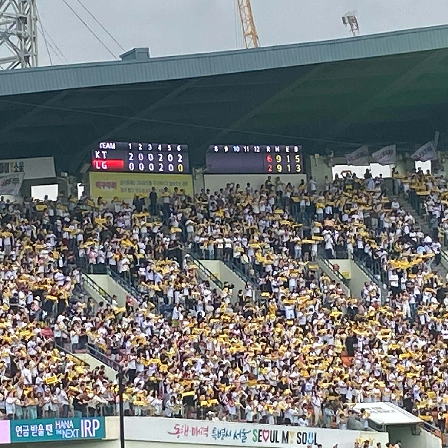 hhc****