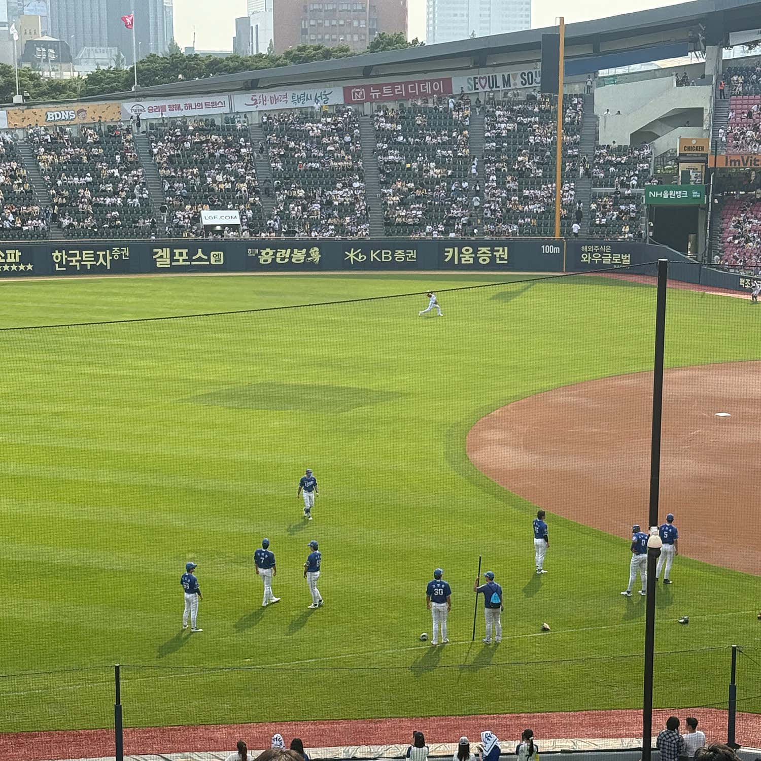 쥬쥬yam