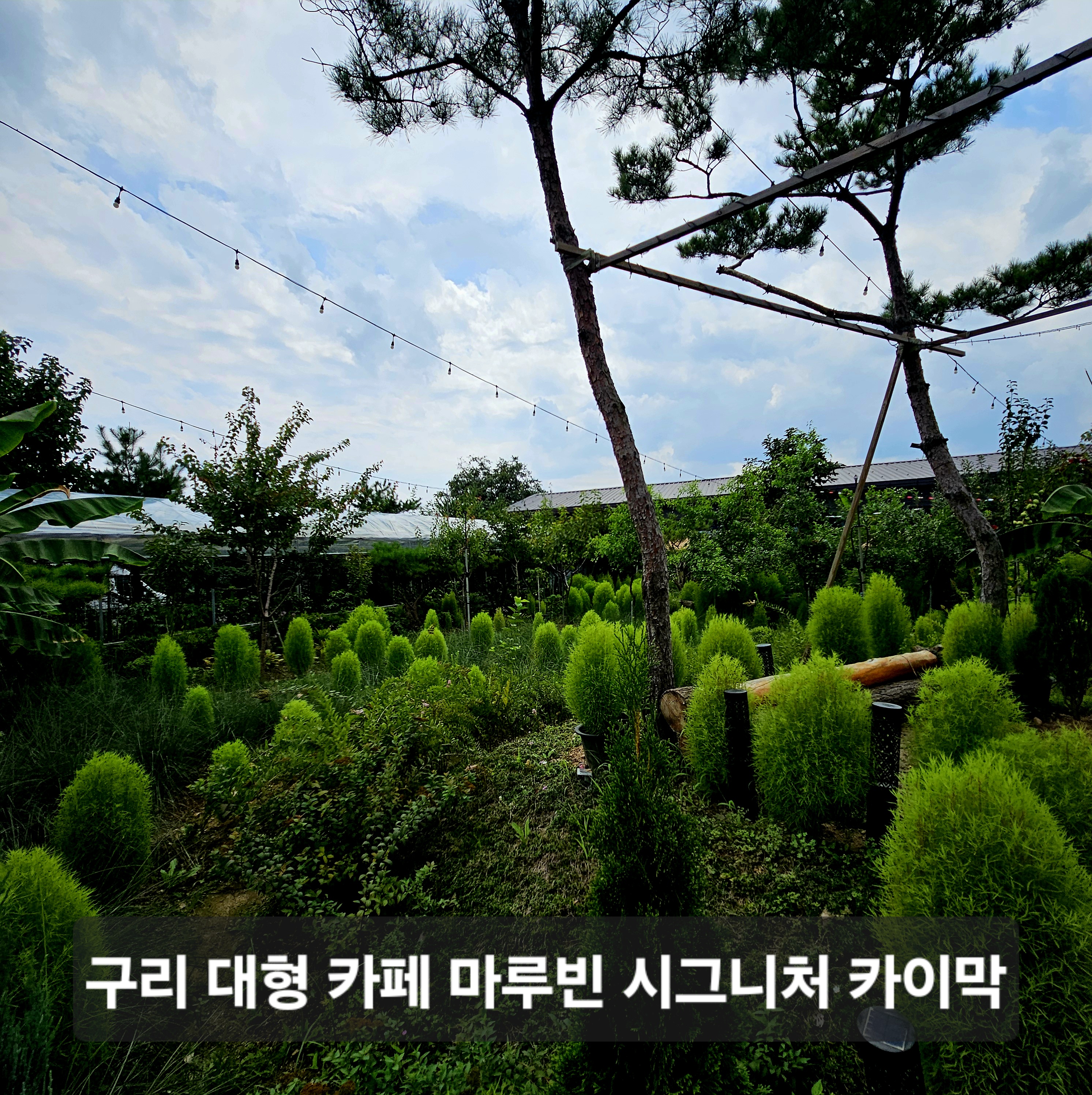 서울 근교 대형 카페 마루빈 후기 넓은 정원과 카이막 디저트