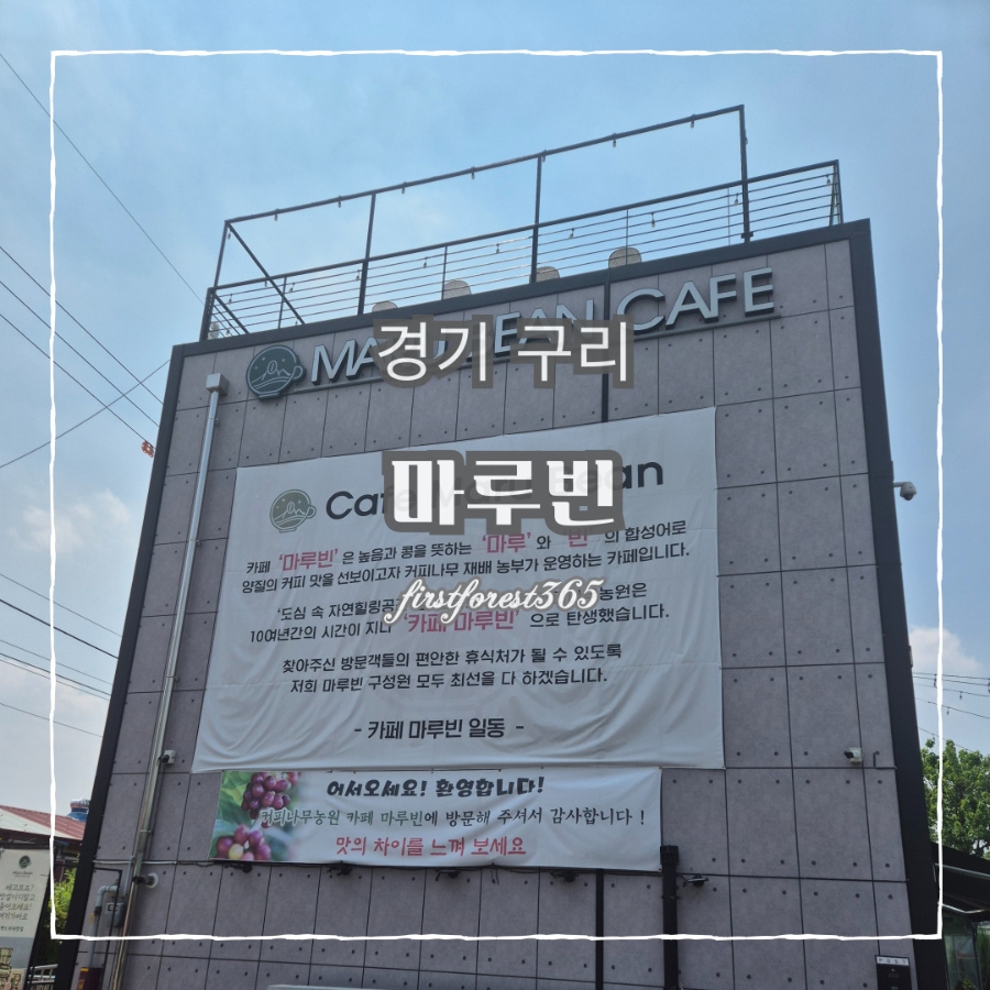 [경기구리]구리장자호수공원에서 가까운 커피나무농원 "마루빈카페"