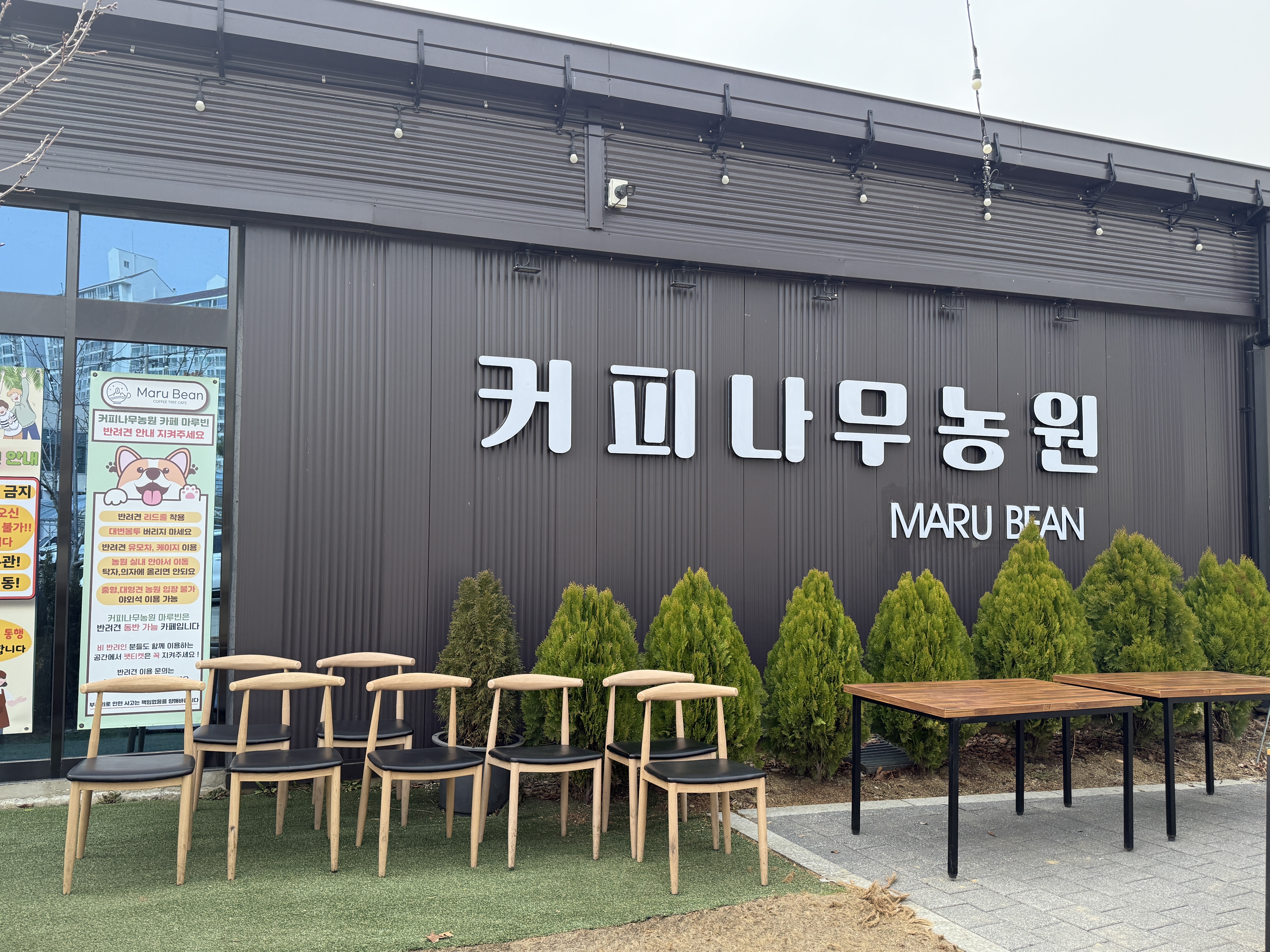 구리 장자못 카페 마루빈 | 엄마들 모임 장소로 딱인 조용한 브런치 카페