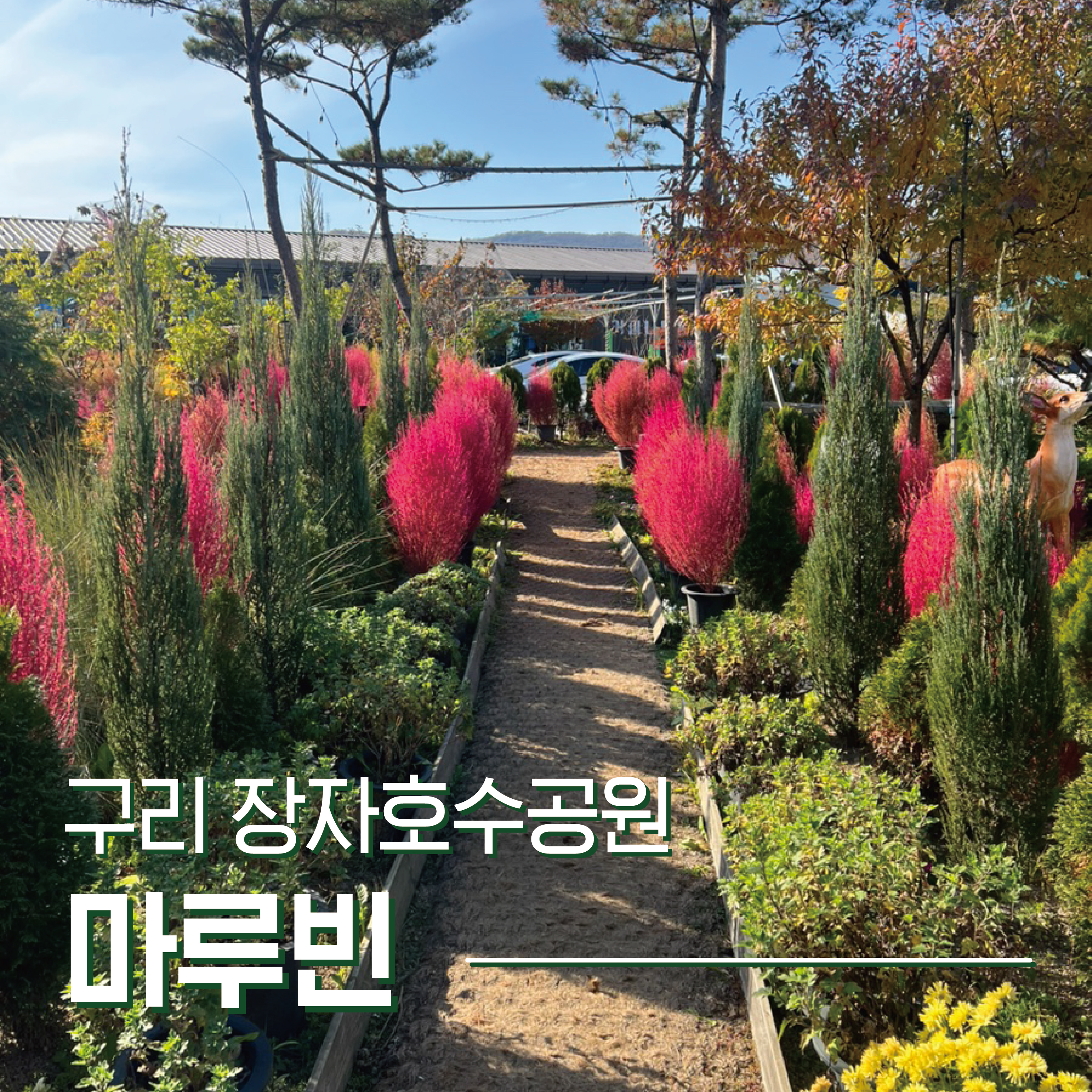 구리 장자호수공원 근처 대형 정원 애견동반카페. 마루빈