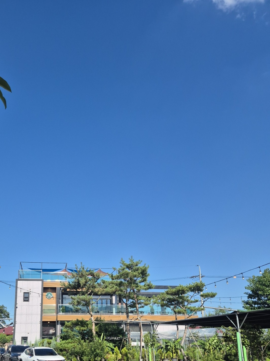 구리 주차카페, 애견인 어르신을 위한 카페 커피나무농원 마루빈