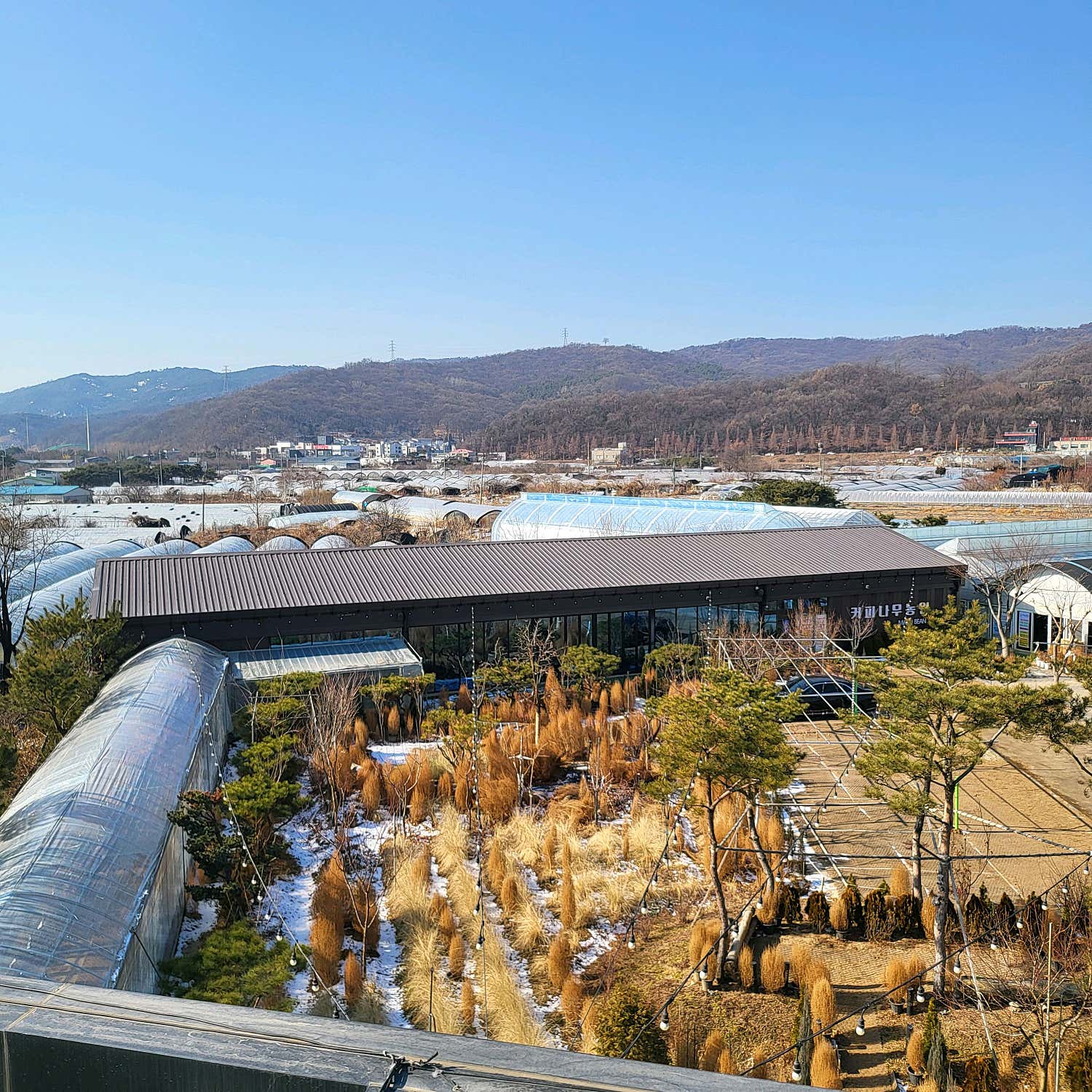 퍼시픽엔젤