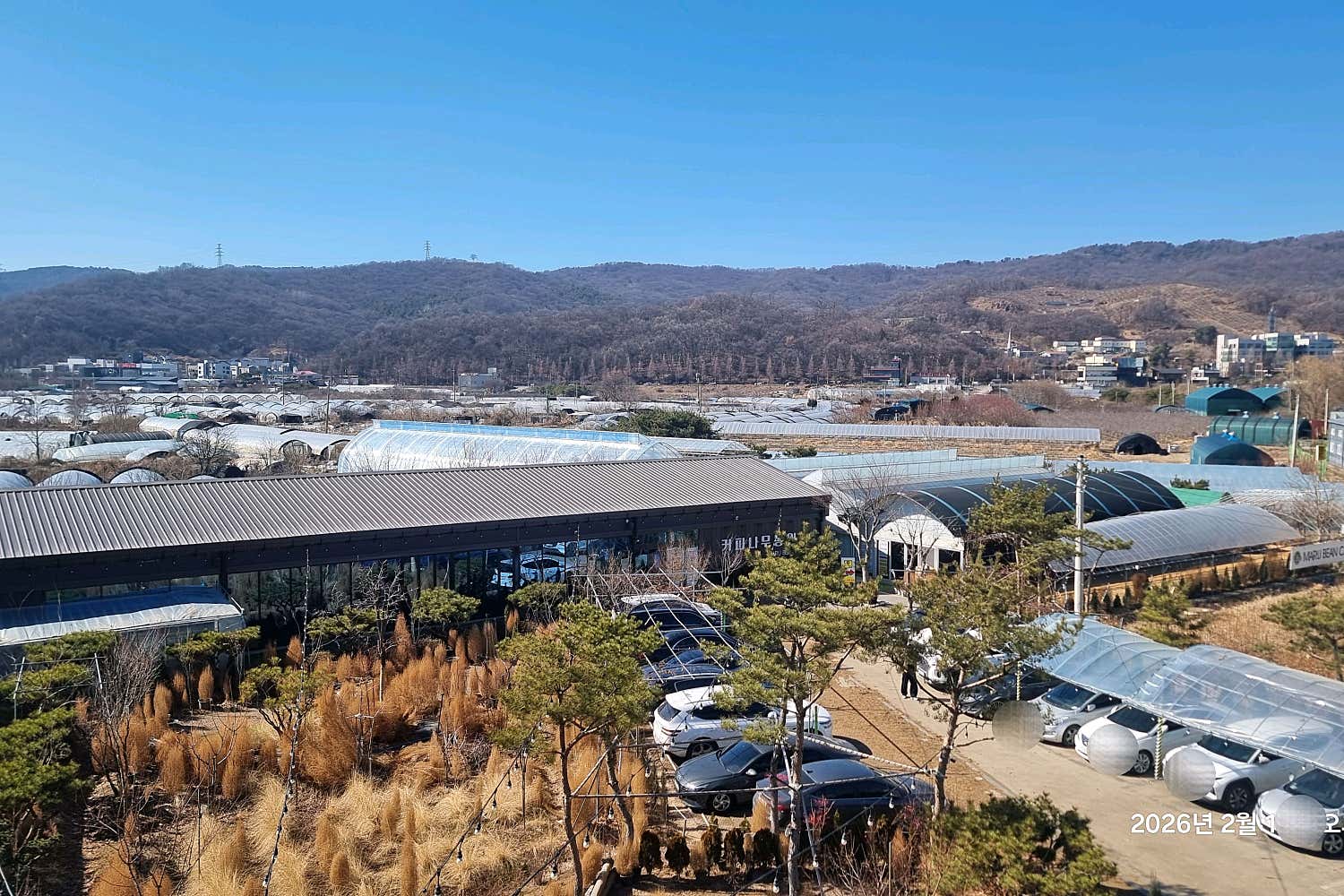 고양이는 멍멍멍