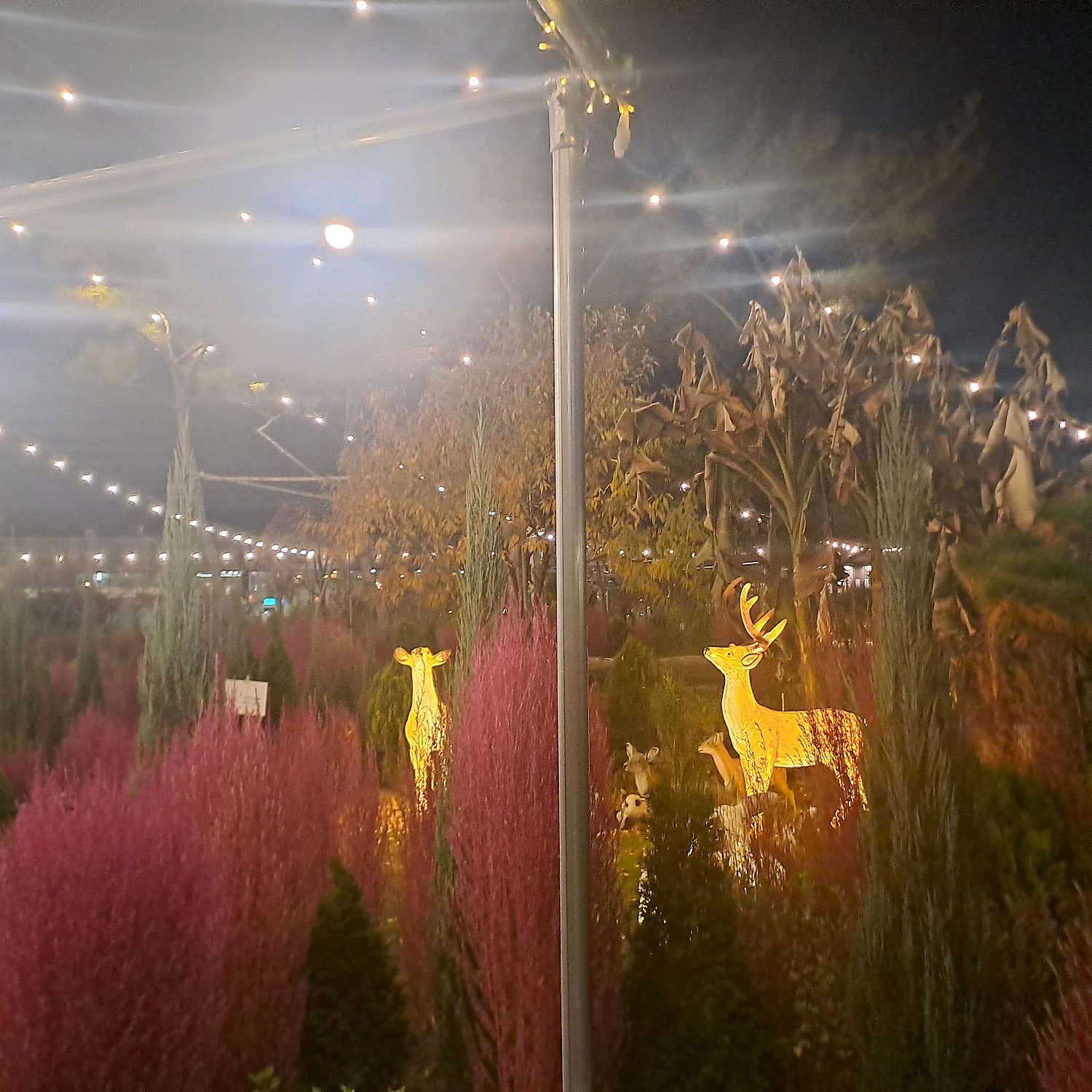 쭈꿈92