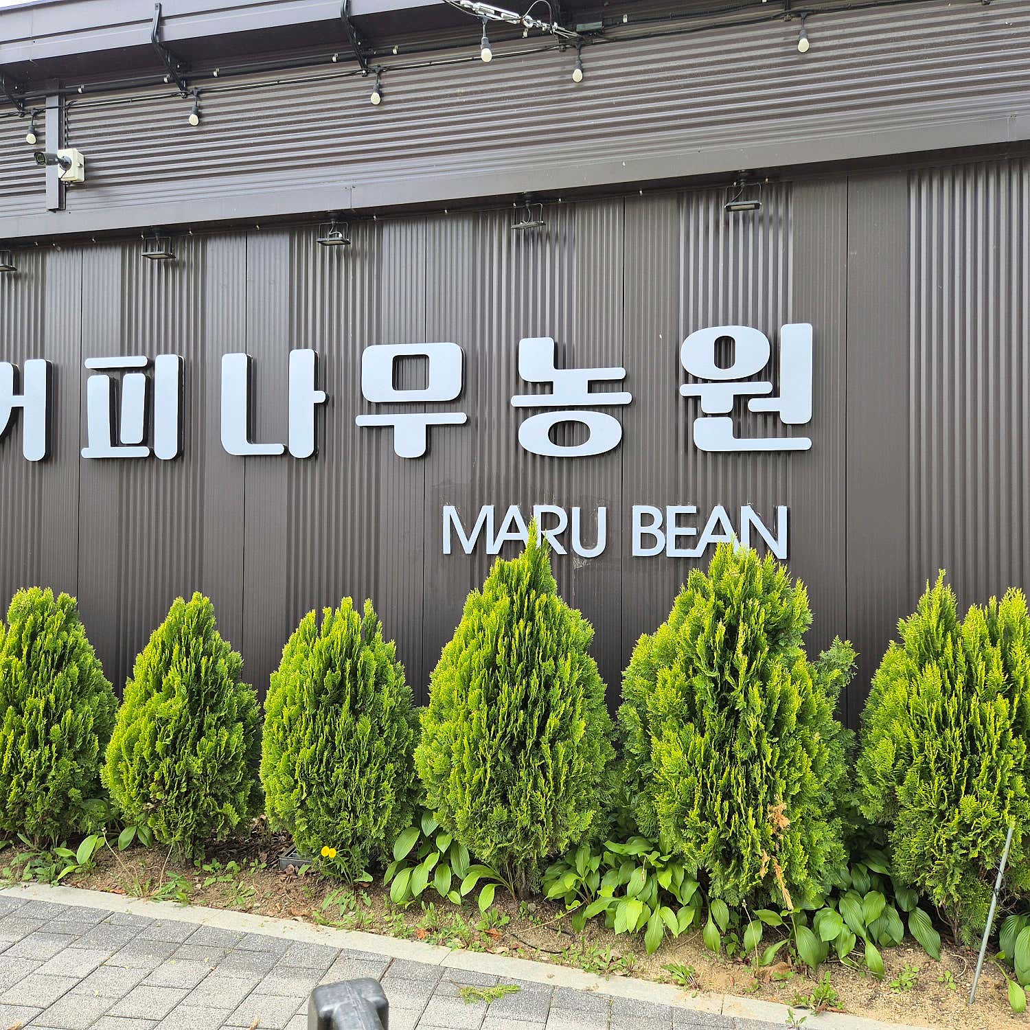 윤지정우지우맘