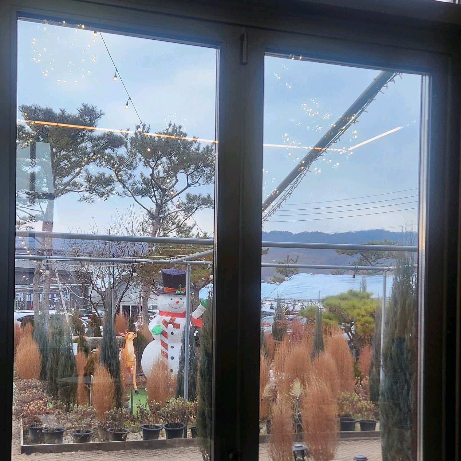 유학선