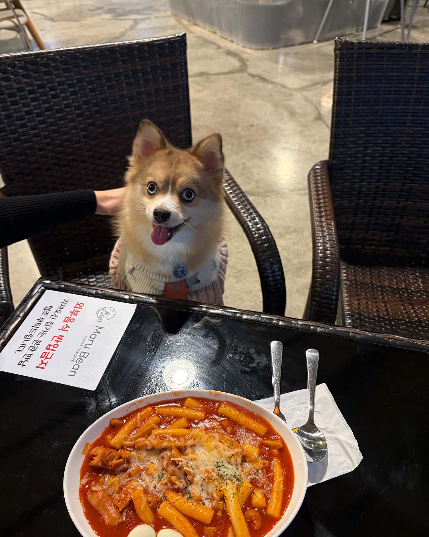 히카리요
