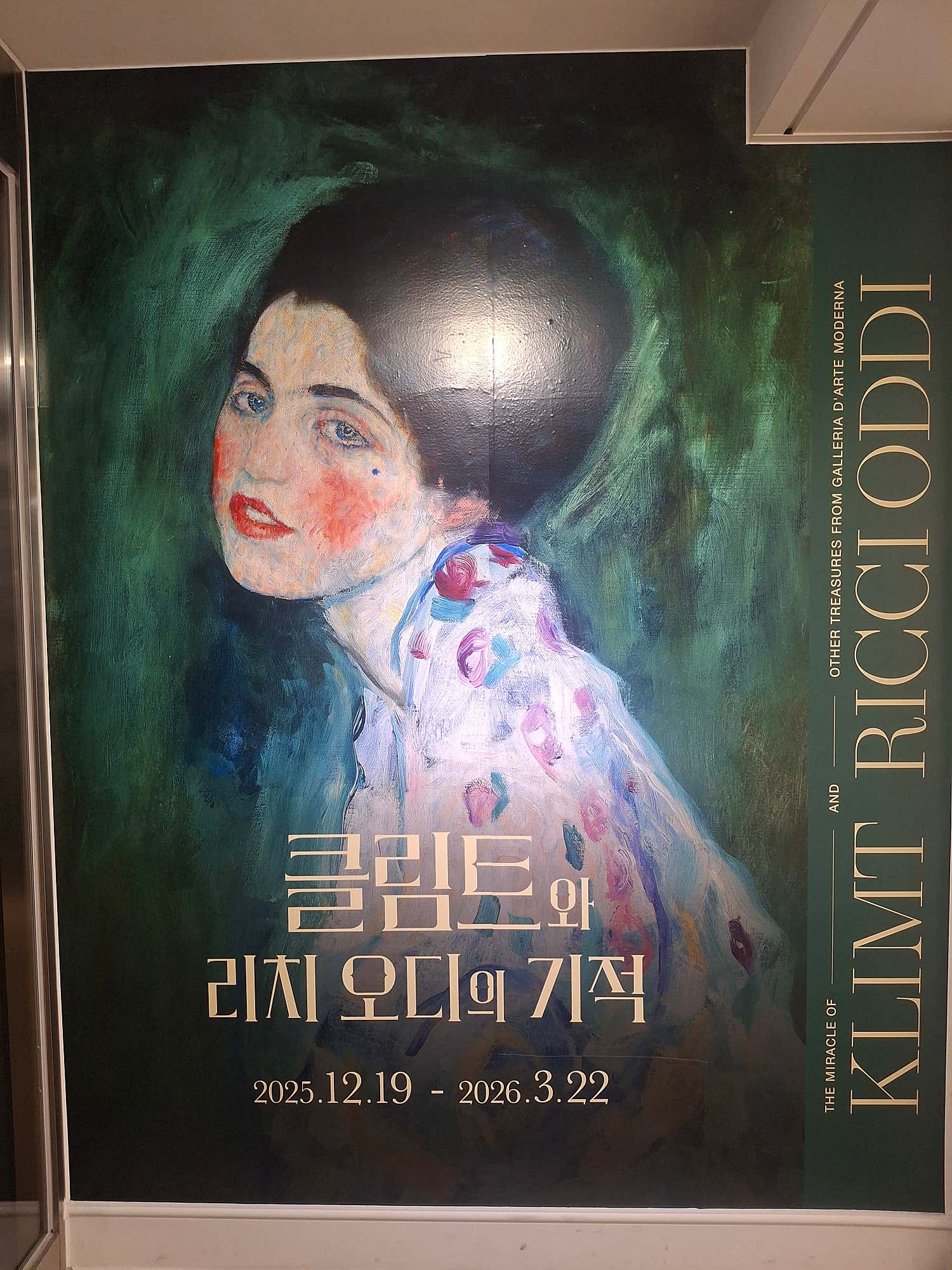 JJ리라꽃