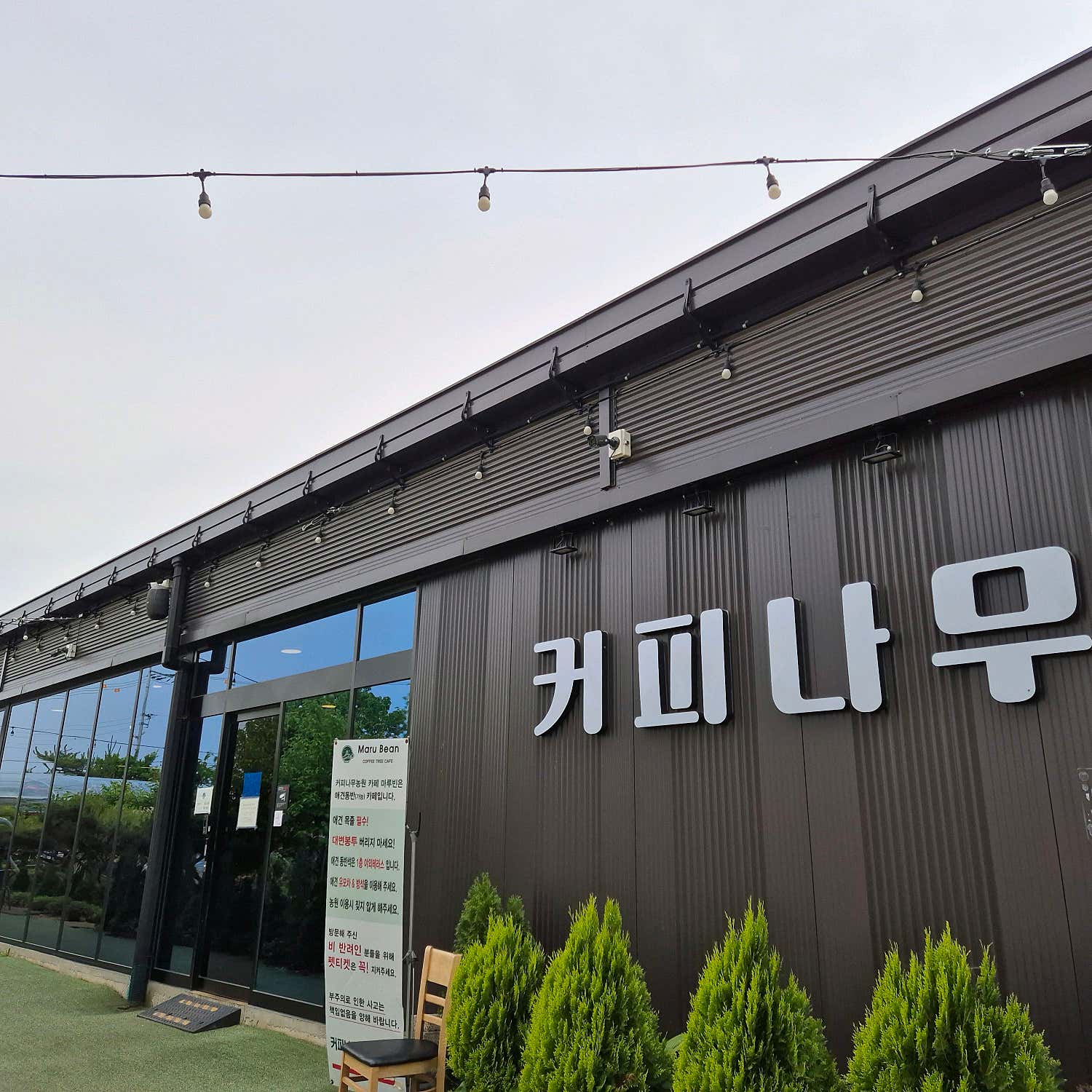 새벽별6369