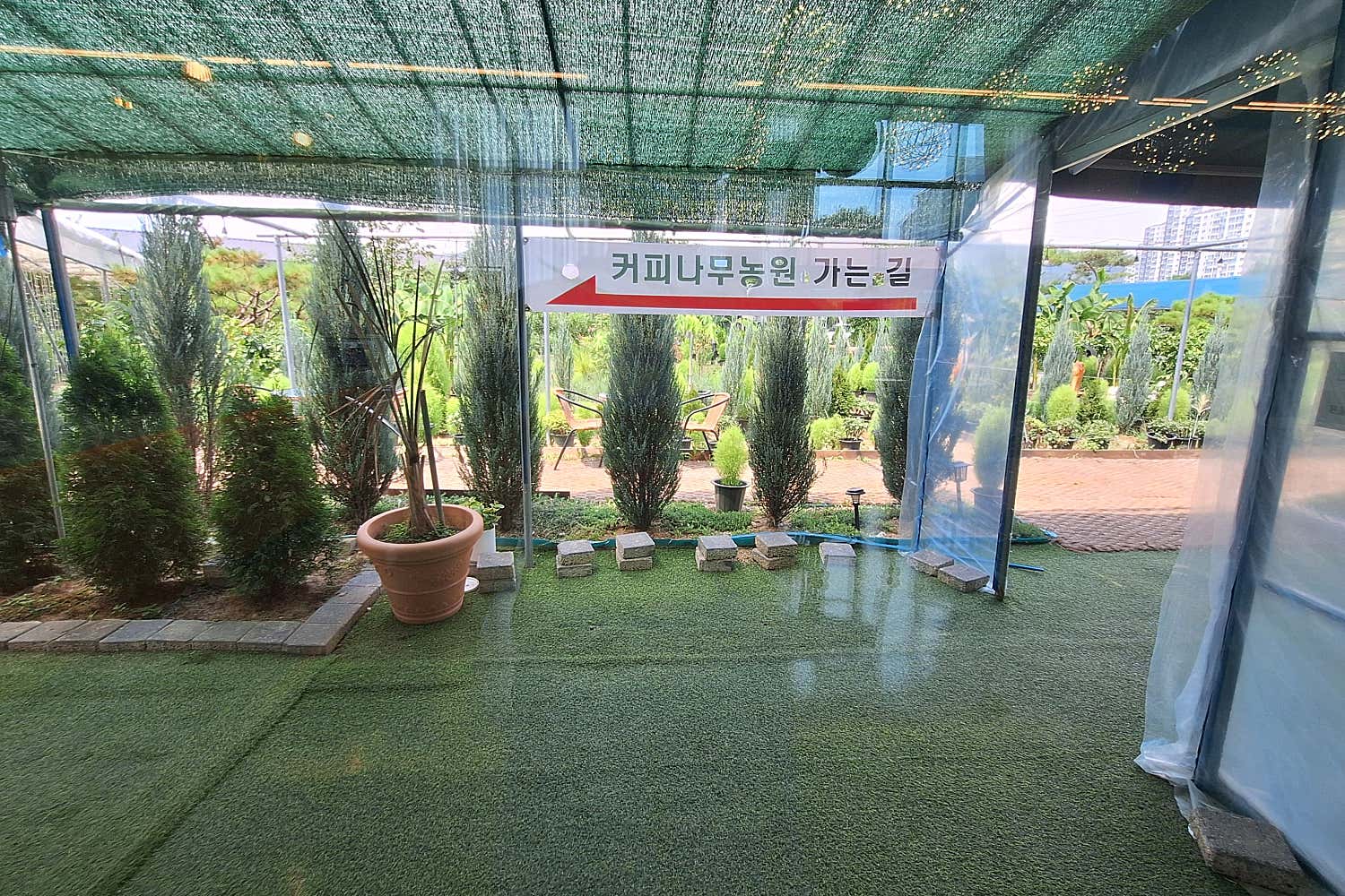 아이리스2590