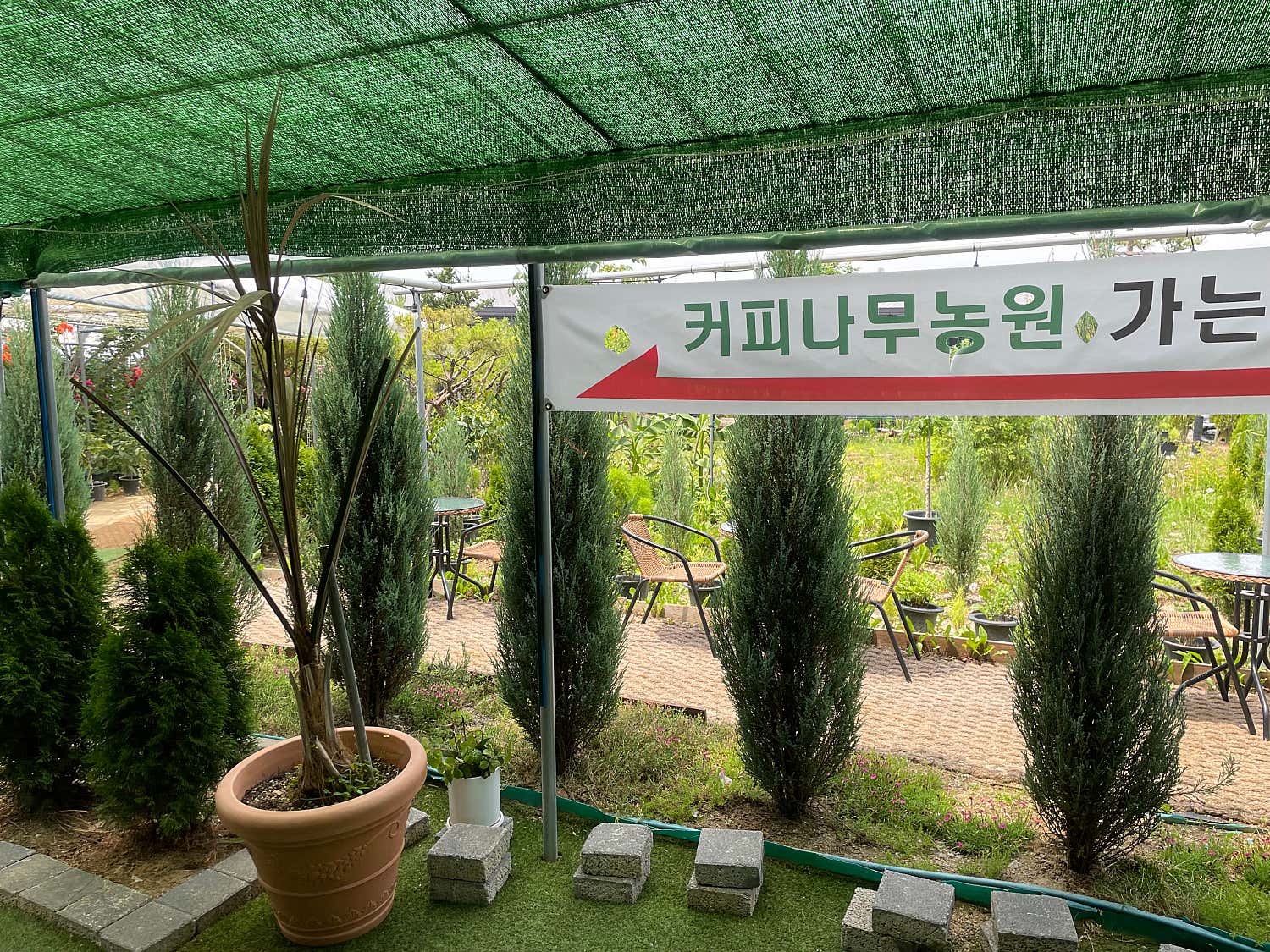 환경보호333