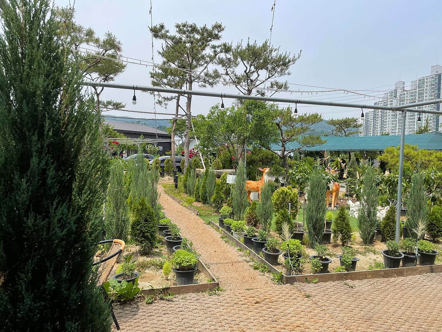 환경보호333
