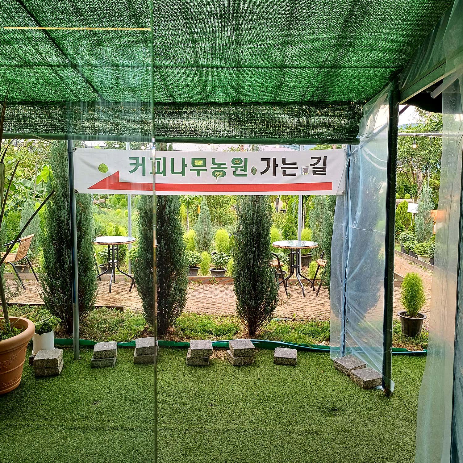 욜욜102