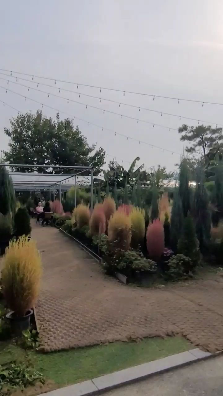 kasu75