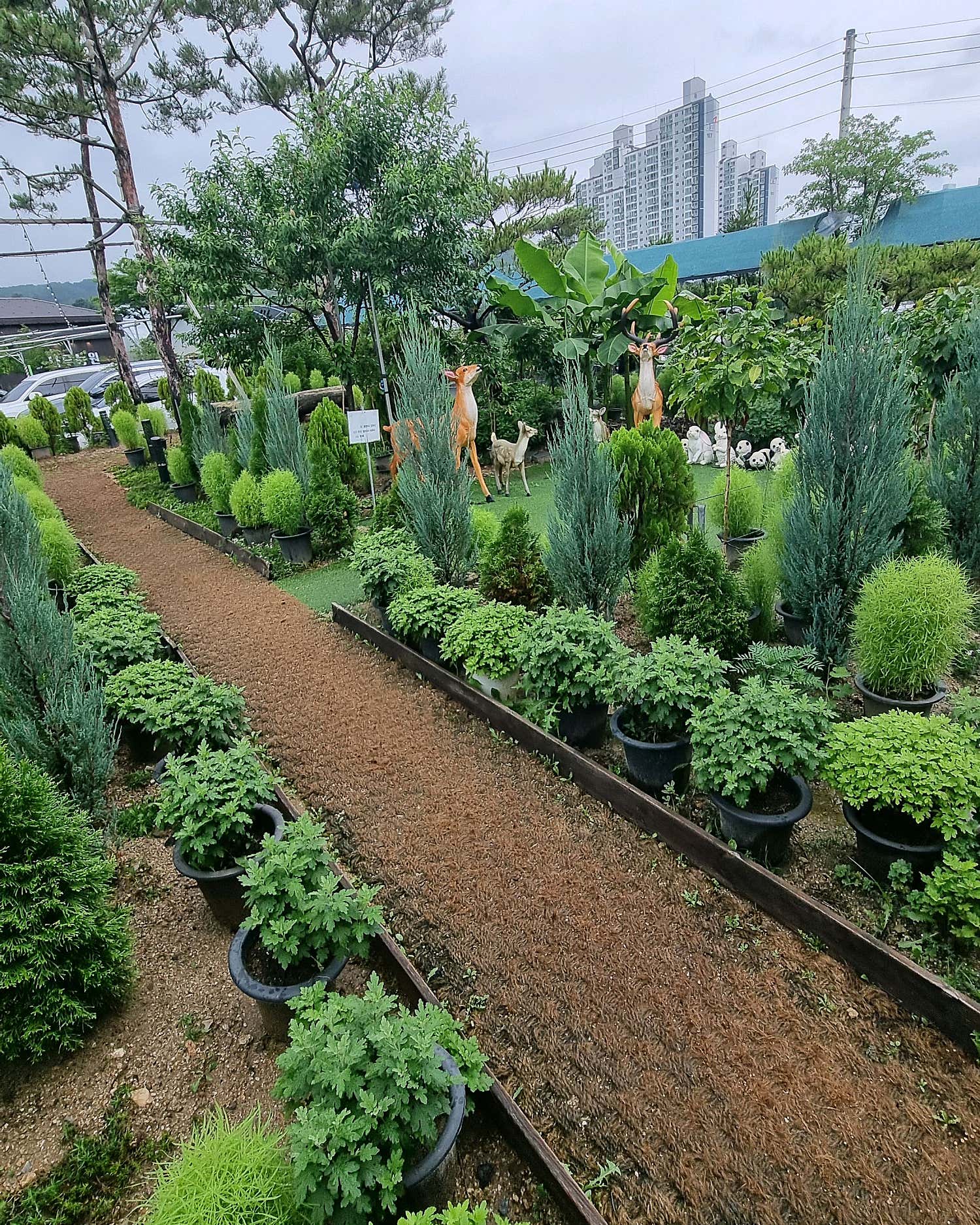 채현이맘58