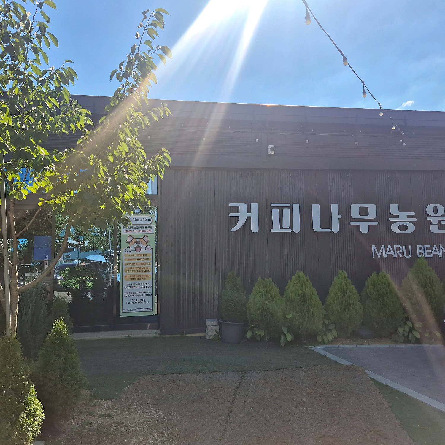 장군이와뽀삐