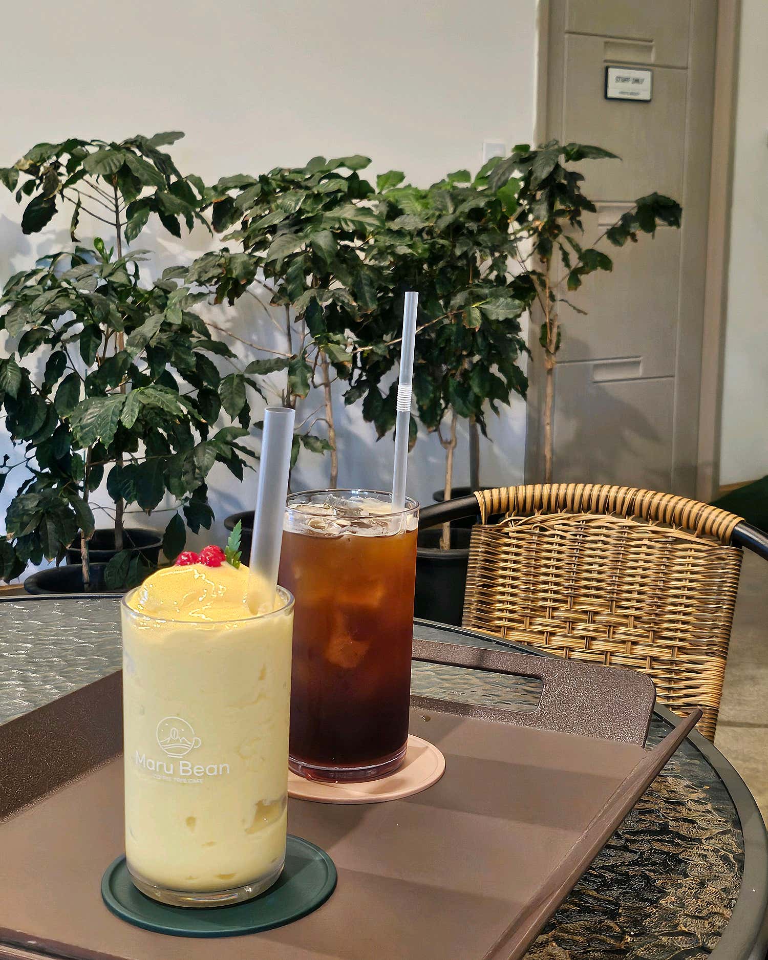 똥바라기