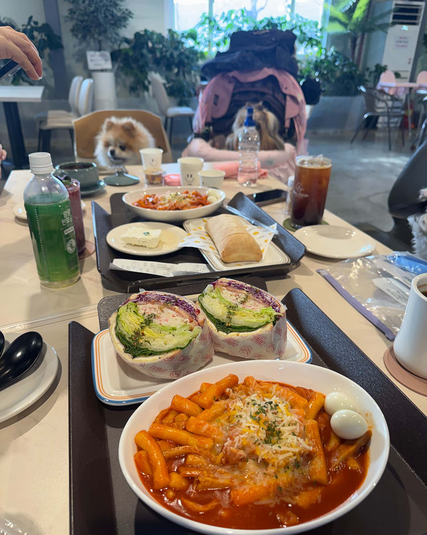 봄날앤