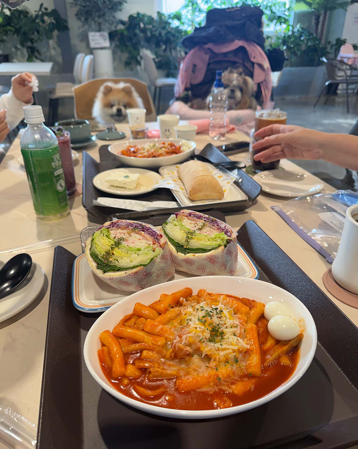 봄날앤