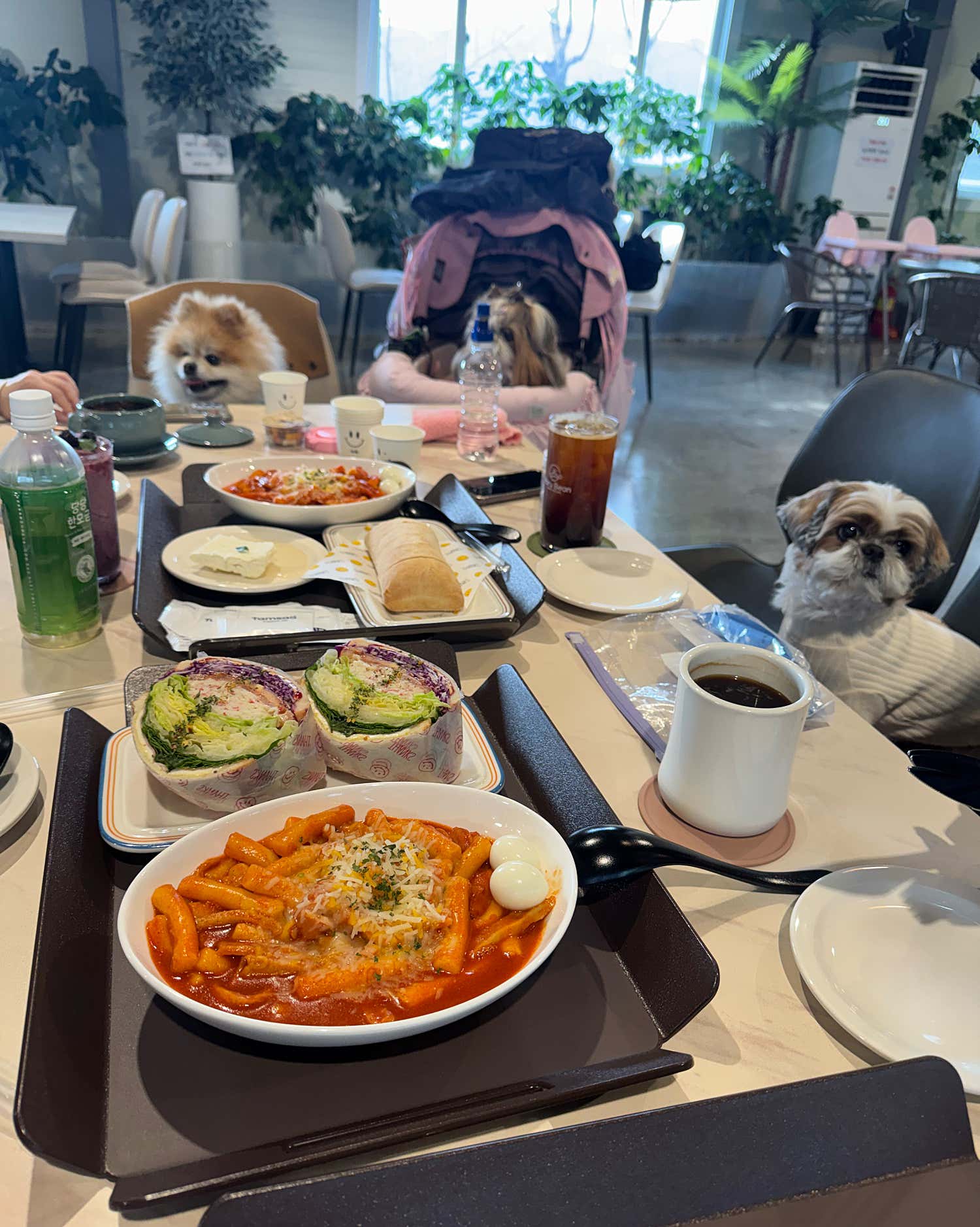 봄날앤